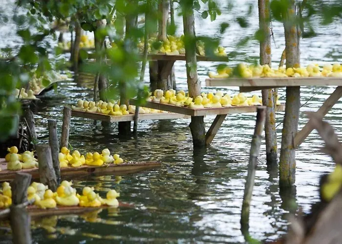 Spacieux Hyper Centre Proximite Immediate Cathedrale, Musee De Picardie, Coliseum, Cnfpt, Aux Pieds Du Marche De Noel Apartment *